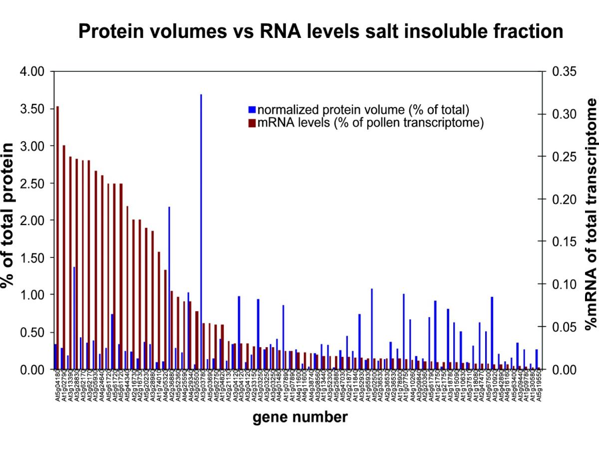 RNA-Protein Graph
